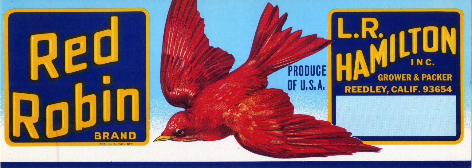 Red Robin